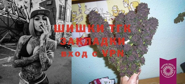 амф Горнозаводск