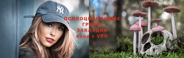 амф Горнозаводск