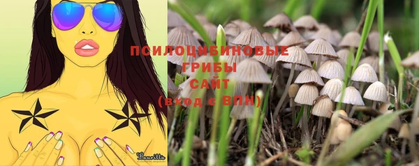 не бодяженный Горняк