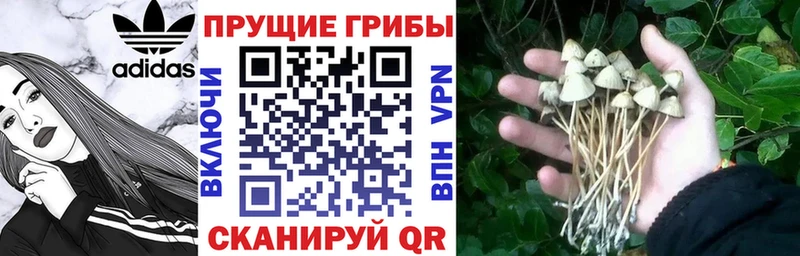 где найти Чердынь Галлюциногенные грибы ЛСД